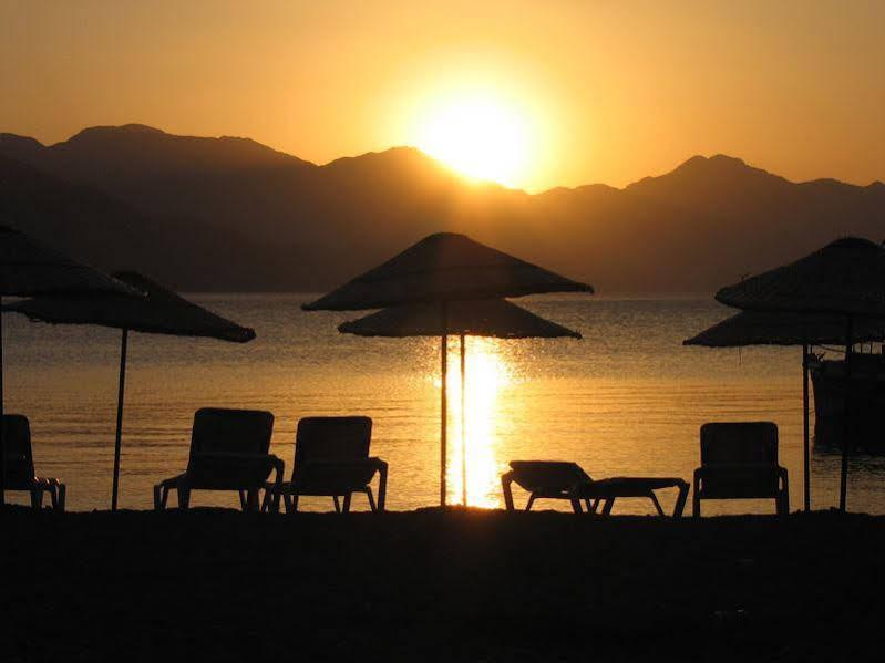 Zeybek Hotel تورونشْ المظهر الخارجي الصورة