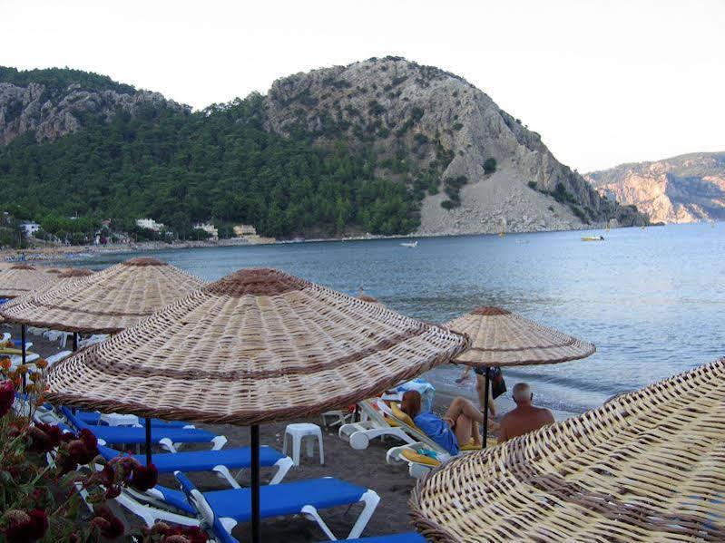 Zeybek Hotel تورونشْ المظهر الخارجي الصورة